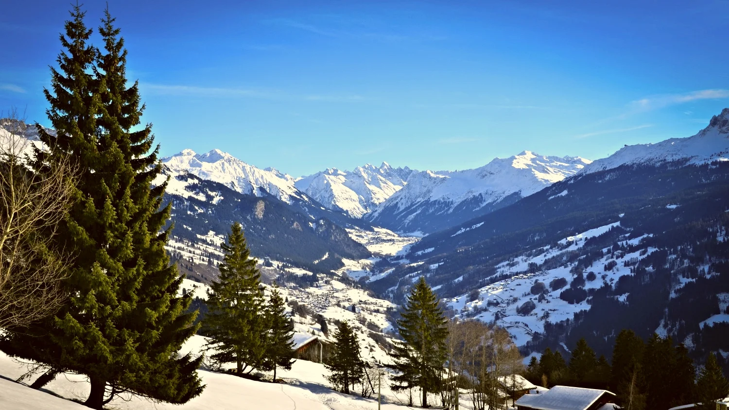 DSC_0469.jpg