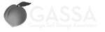 gassa1.png