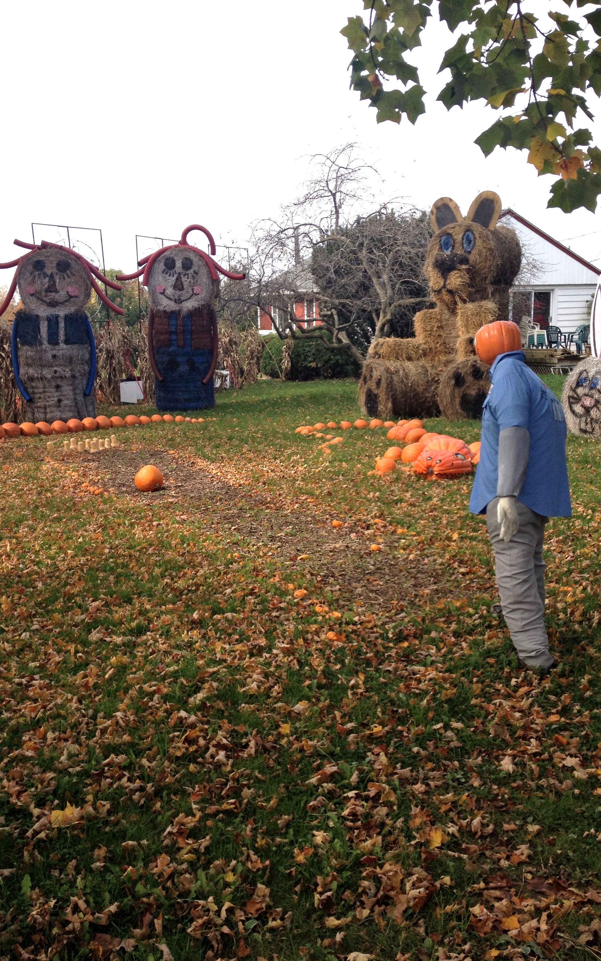 Bowling with pumpkins and pumpkin-gator spectators. 