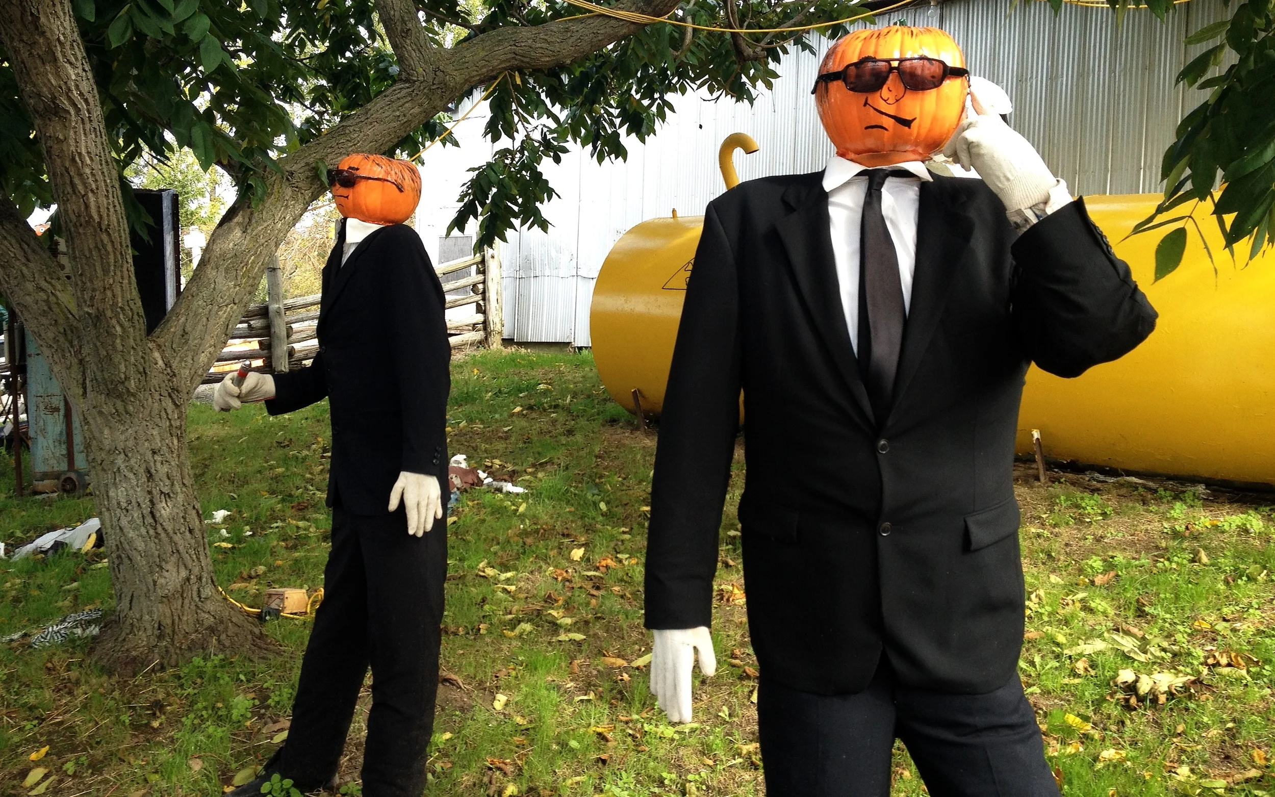 Pumpkins in Black.