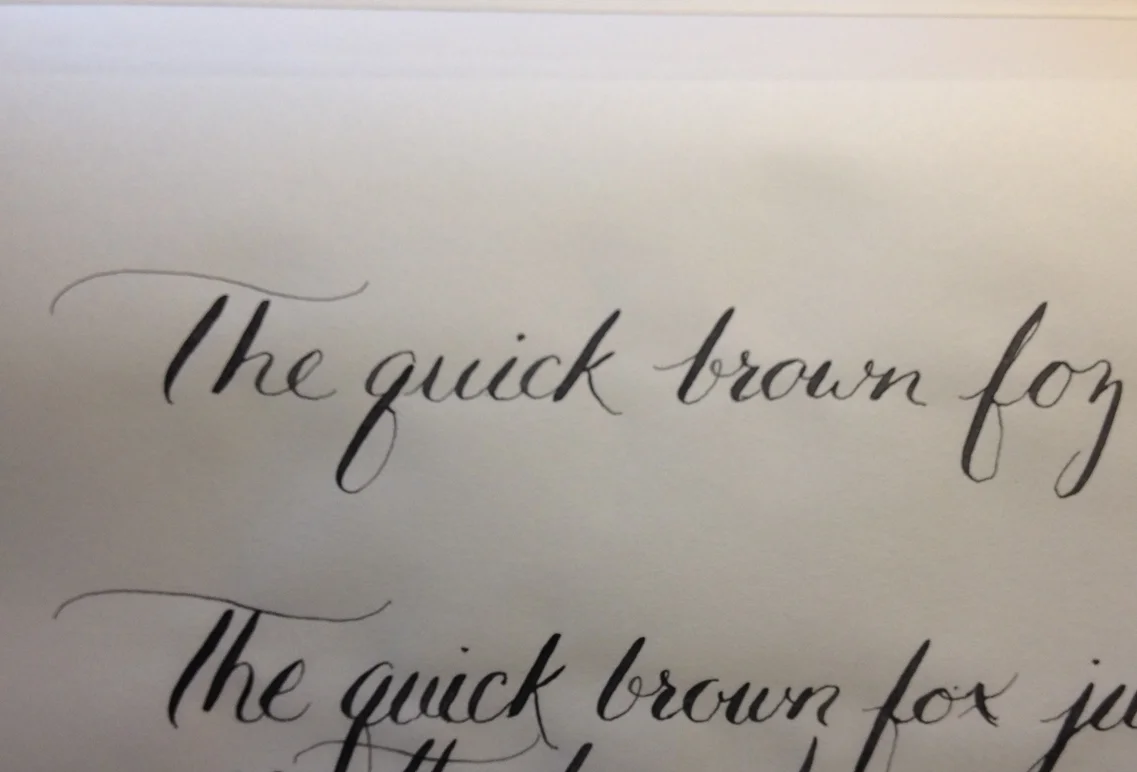 Whoops! There's no Z in fox! Practice makes progress. 