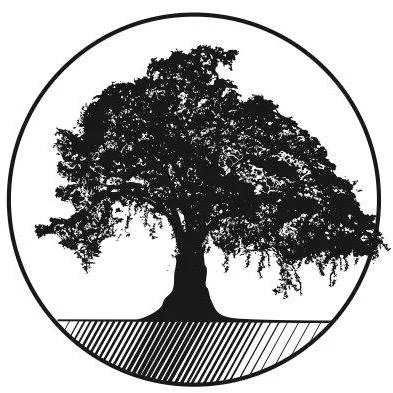 The IFR logo is a Louisiana live oak, a tree known for its resilience in the midst of winds and floods.