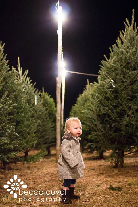ChristmasTreeHunt (3 of 8).jpg