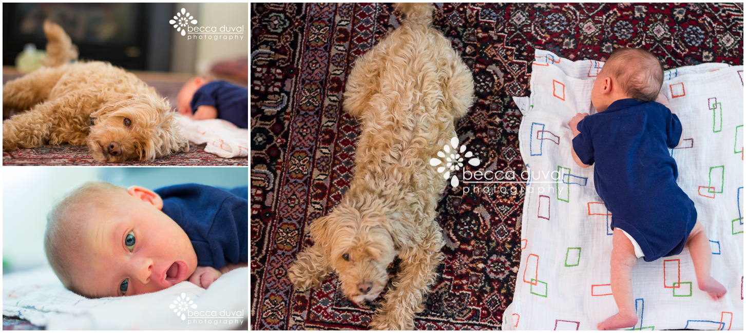 This week, we had our first "tummy time" session with baby E. I'm glad I had the camera handy, because our rescue Gulliver decided to join the fun (and kinda stole the show..). BOOM. "Relationship" AND "Unexpected First" all in one. Man, I'm good! Healthy dose of confidence this morning, too ;)
