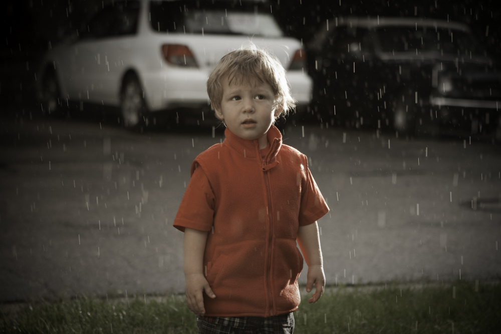 Sam in the Rain