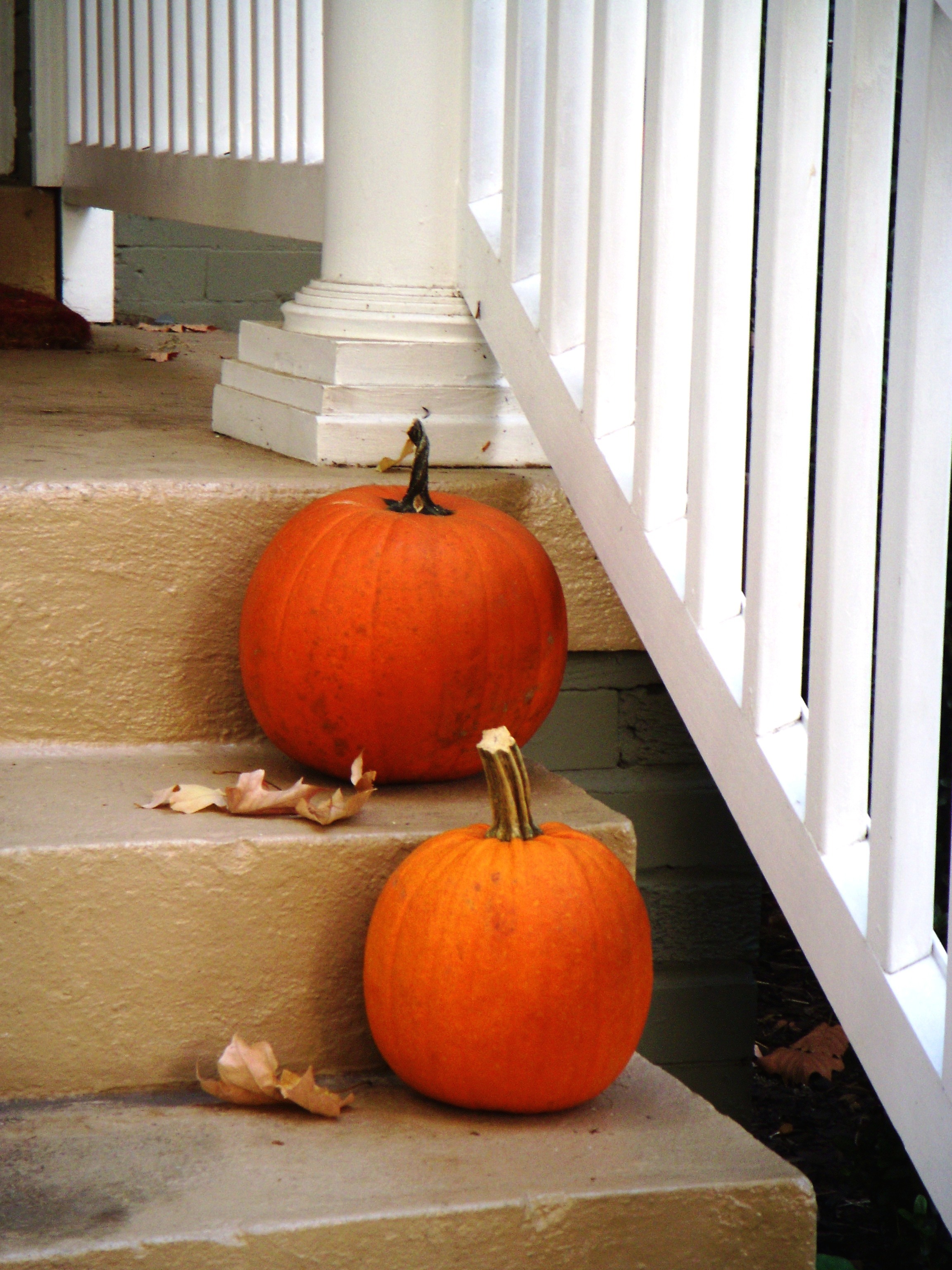 Instead of decorating your home with non-biodegradable plastic item this Halloween choose more natural ones like a real pumpkin. Pumpkins can be composted at the end of the season resulting in less waste being sent to the landfill.