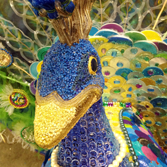 Peacock 3 head close up.jpg