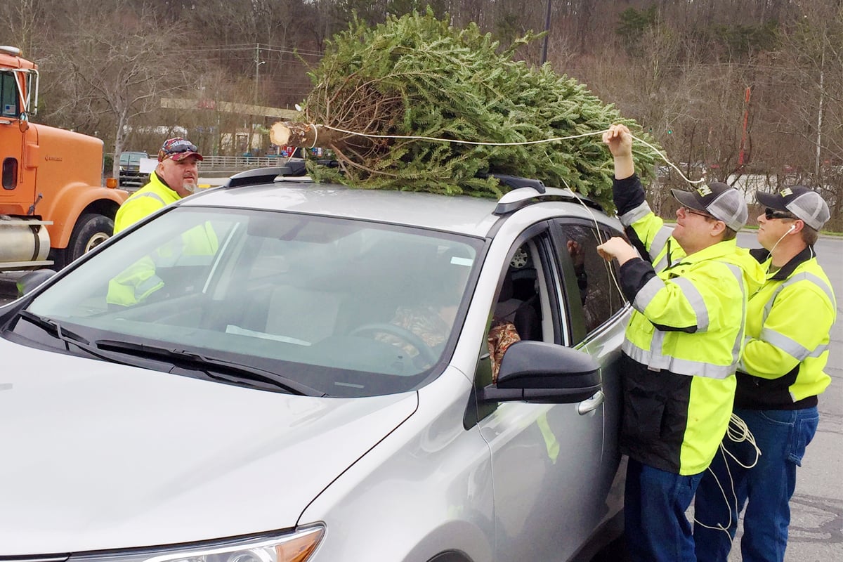 Whitfield County Public Works staff unload a live Christmas tree that was dropped off for recycling last Saturday at The Home Depot. Trees were recycled on site into mulch that will be used to beautify the county.