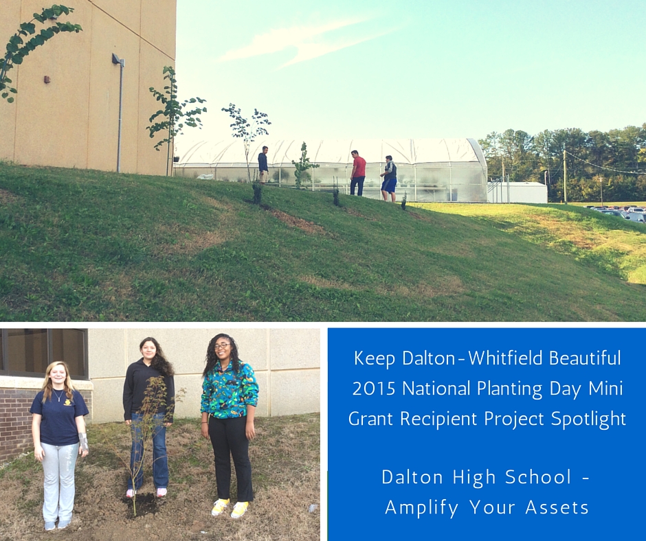 Mini Grant 2015 - Photos of Finished Projects.jpg