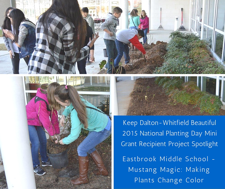 Mini Grant 2015 - Photos of Finished Projects.jpg
