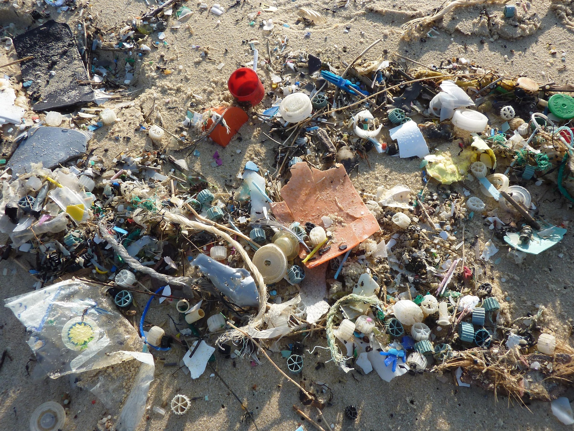This plastic debris washed up on a beach most likely originated on land. Plastic does not decompose like organic materials leaving plastic in the ocean to slowly breakdown over a span of years.
