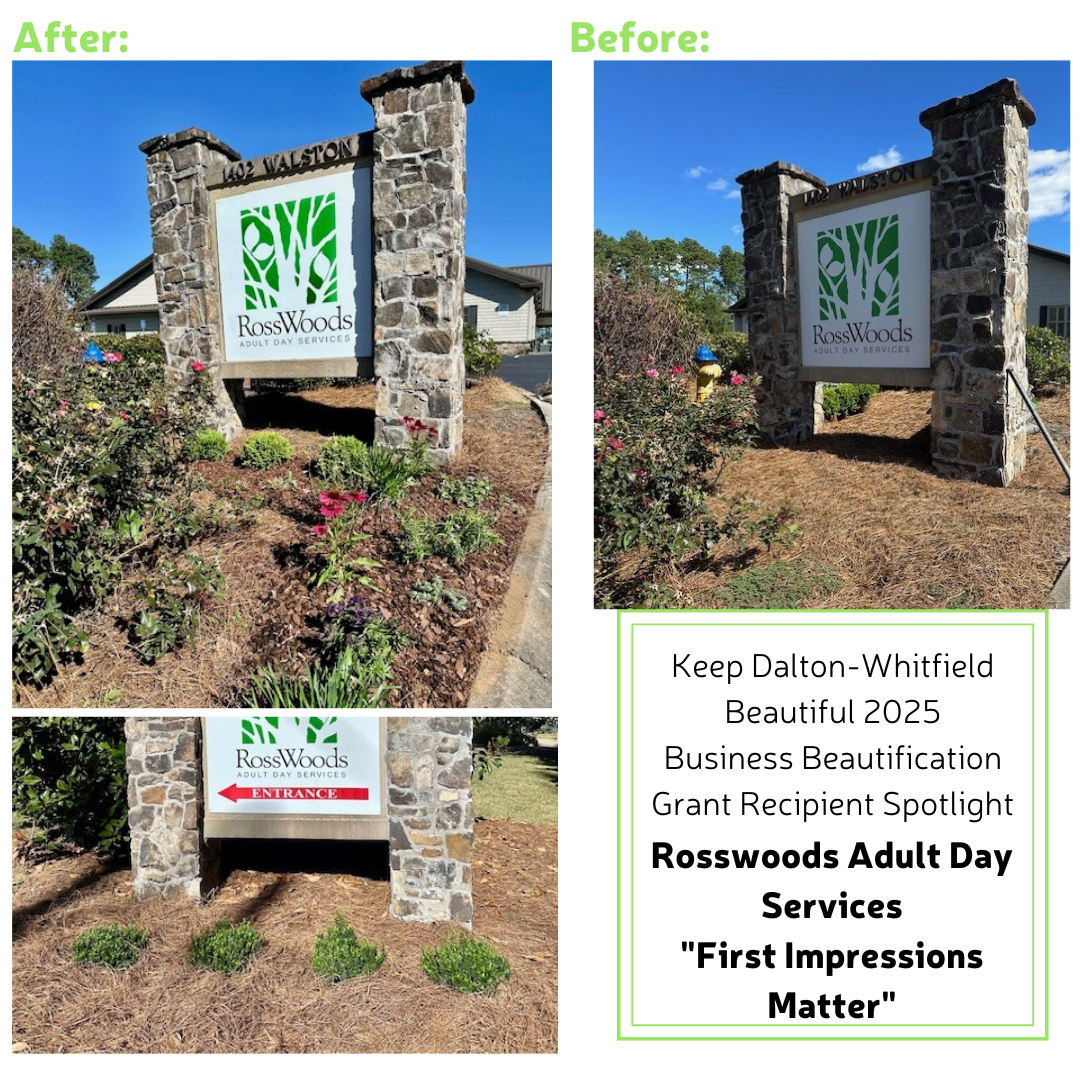 Beautification Results Website Template.png