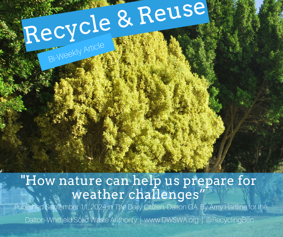 deforestation — Recycle & Reuse Articles — Dalton-Whitfield Solid Waste ...