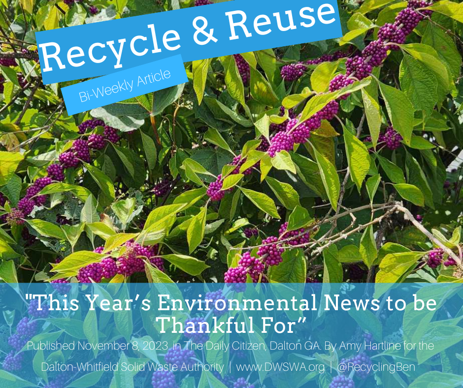 deforestation — Recycle & Reuse Articles — Dalton-Whitfield Solid Waste ...