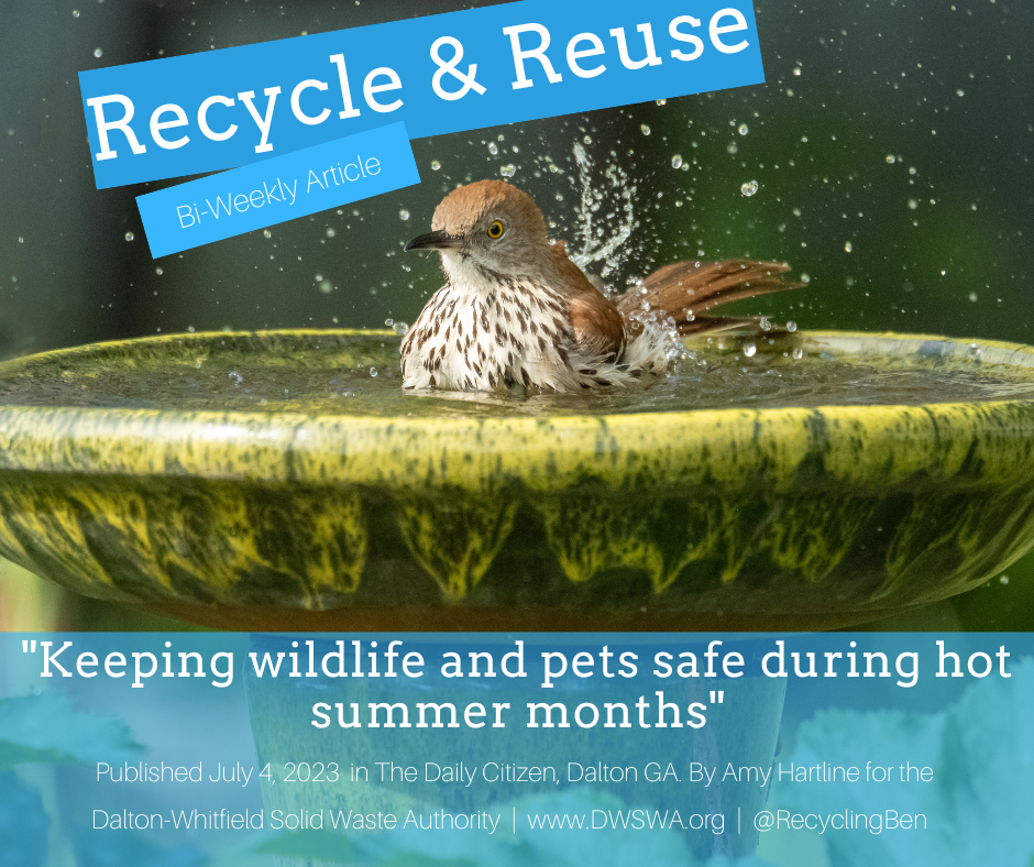 deforestation — Recycle & Reuse Articles — Dalton-Whitfield Solid Waste ...