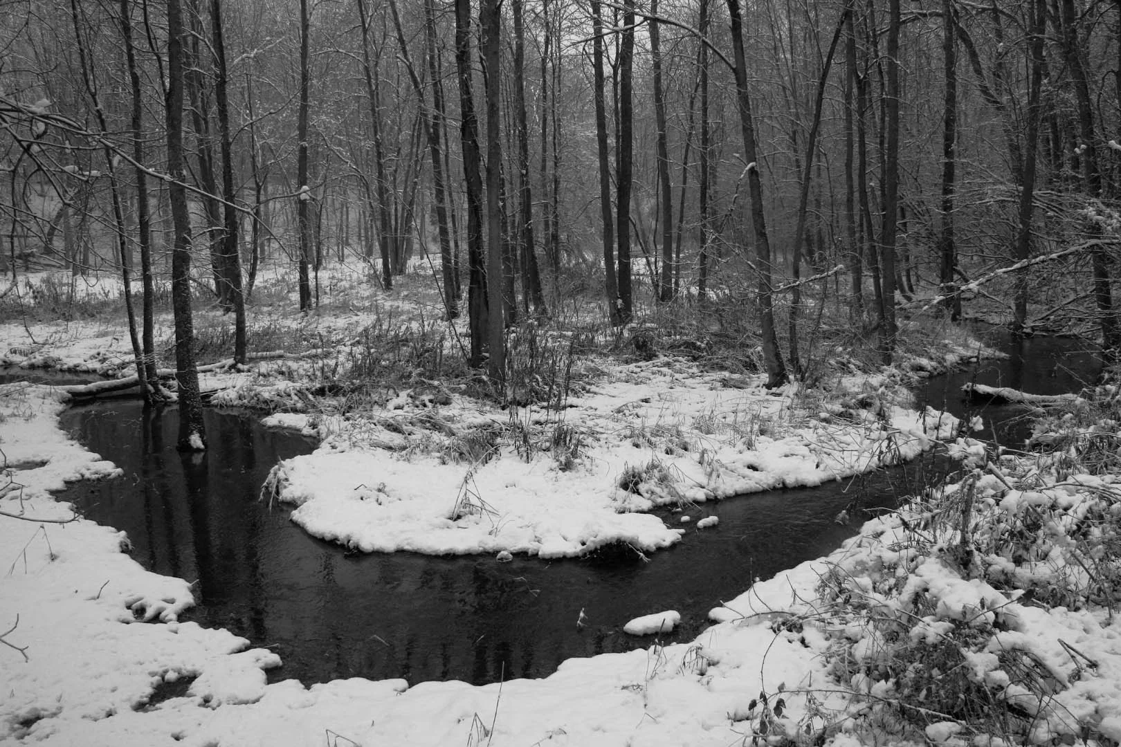 Bend in River