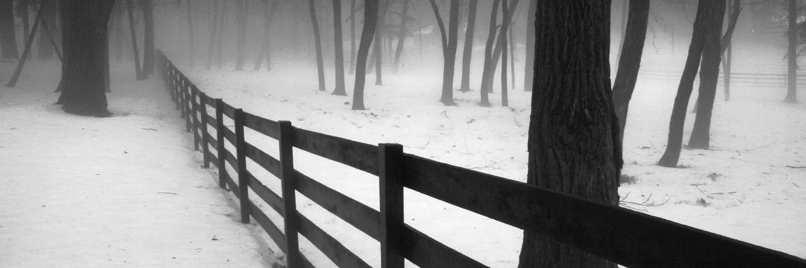 Fence-line in Fog