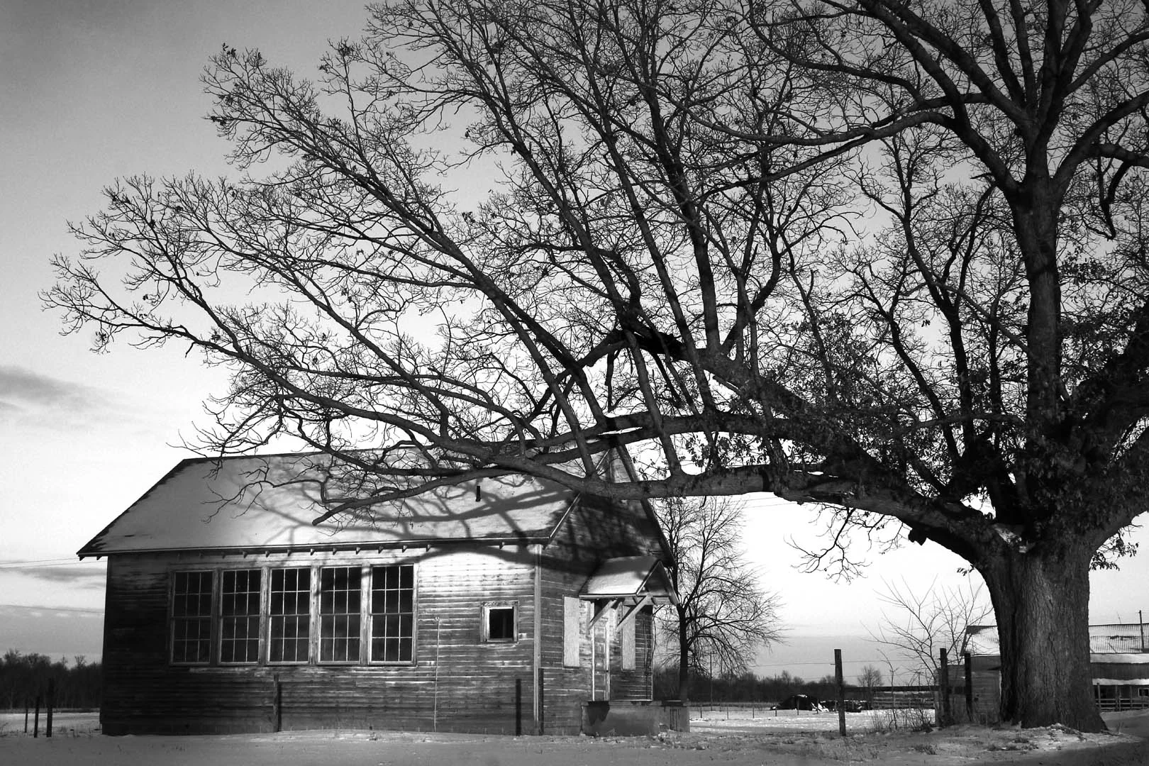 Standard School -- Last Light