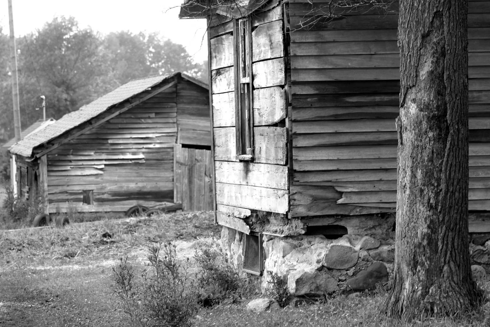 Sarah's House