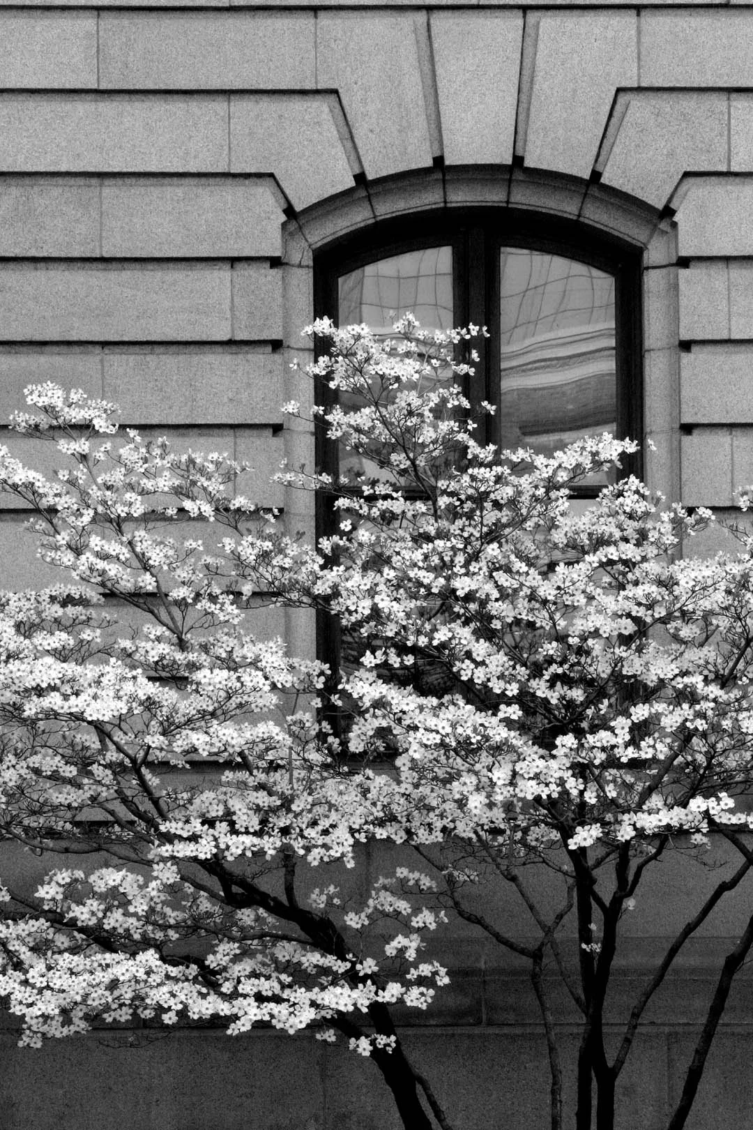 Old Federal Building -- 1