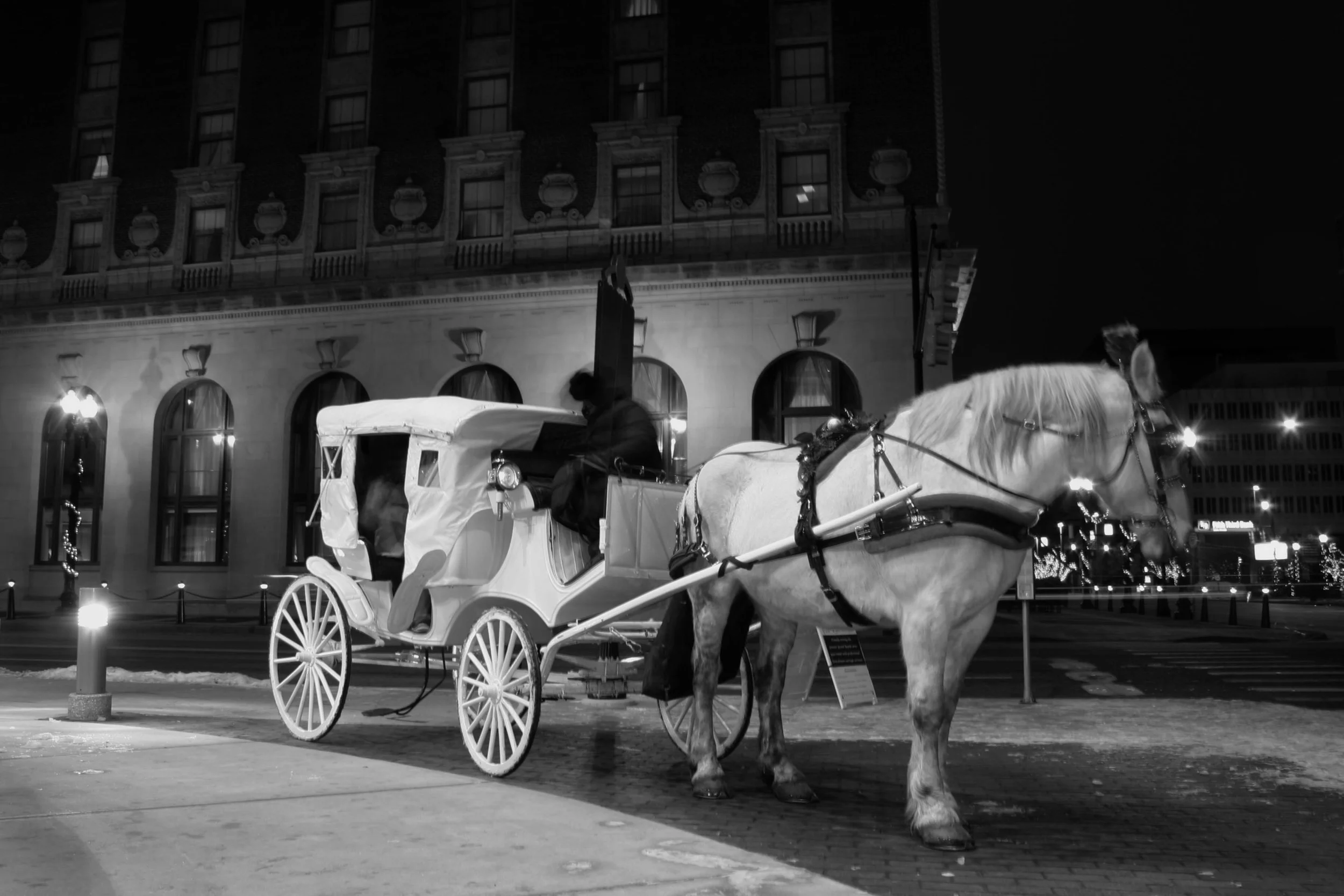 Grand Rapids Carriage Ride