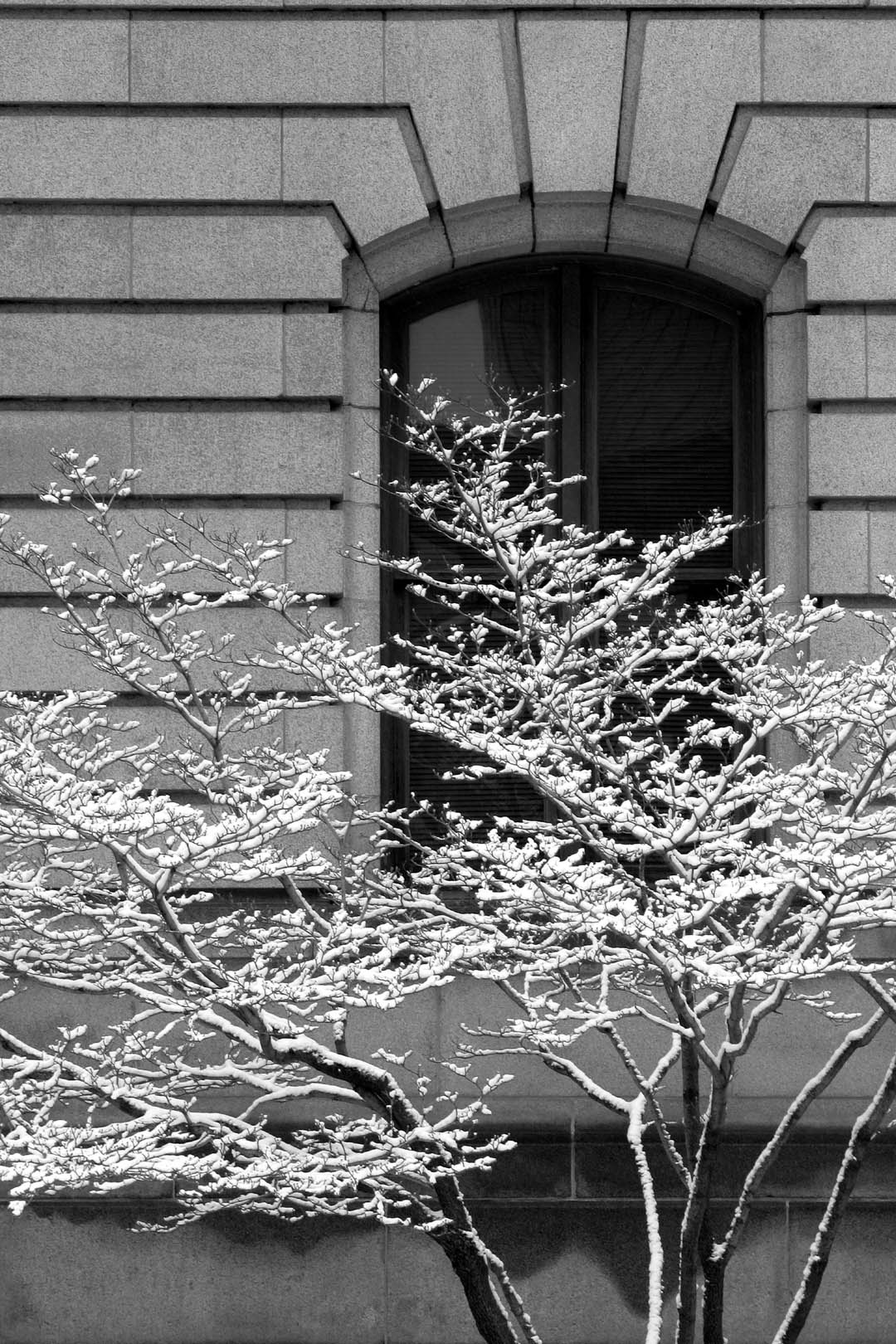 Old GR Federal Building -- 2