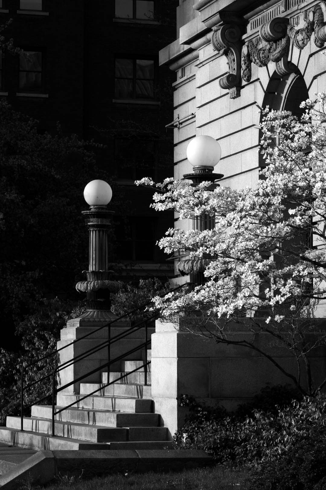 Old GR Federal Building -- 3
