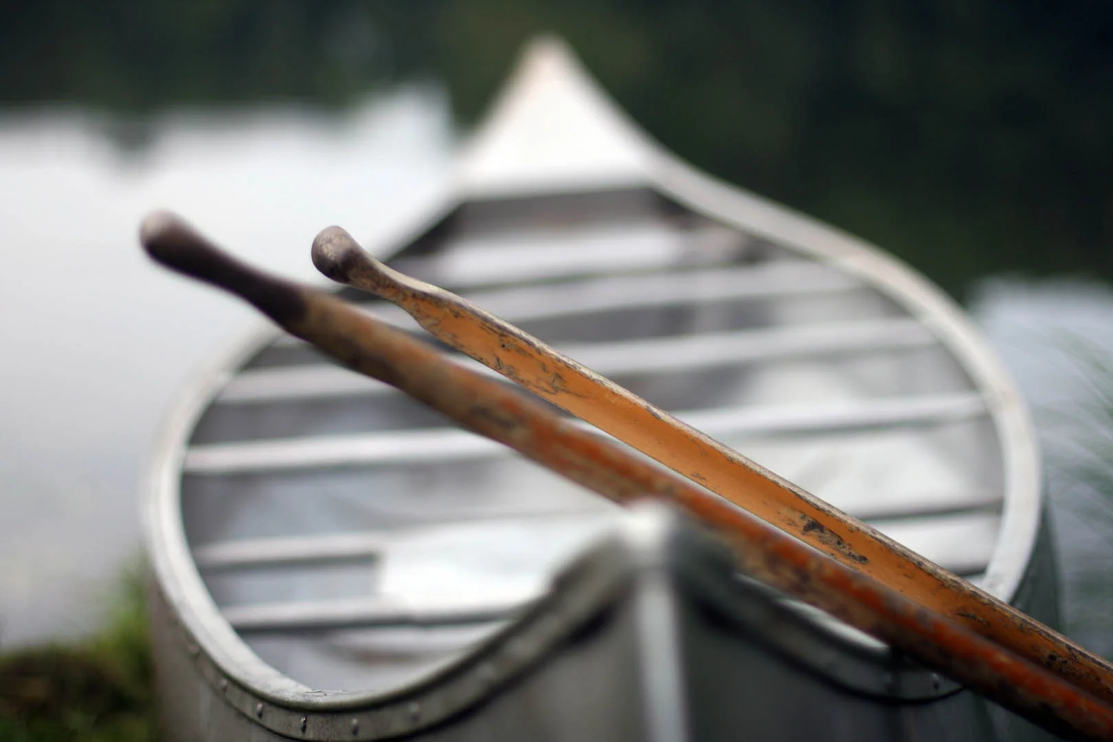 Paddles