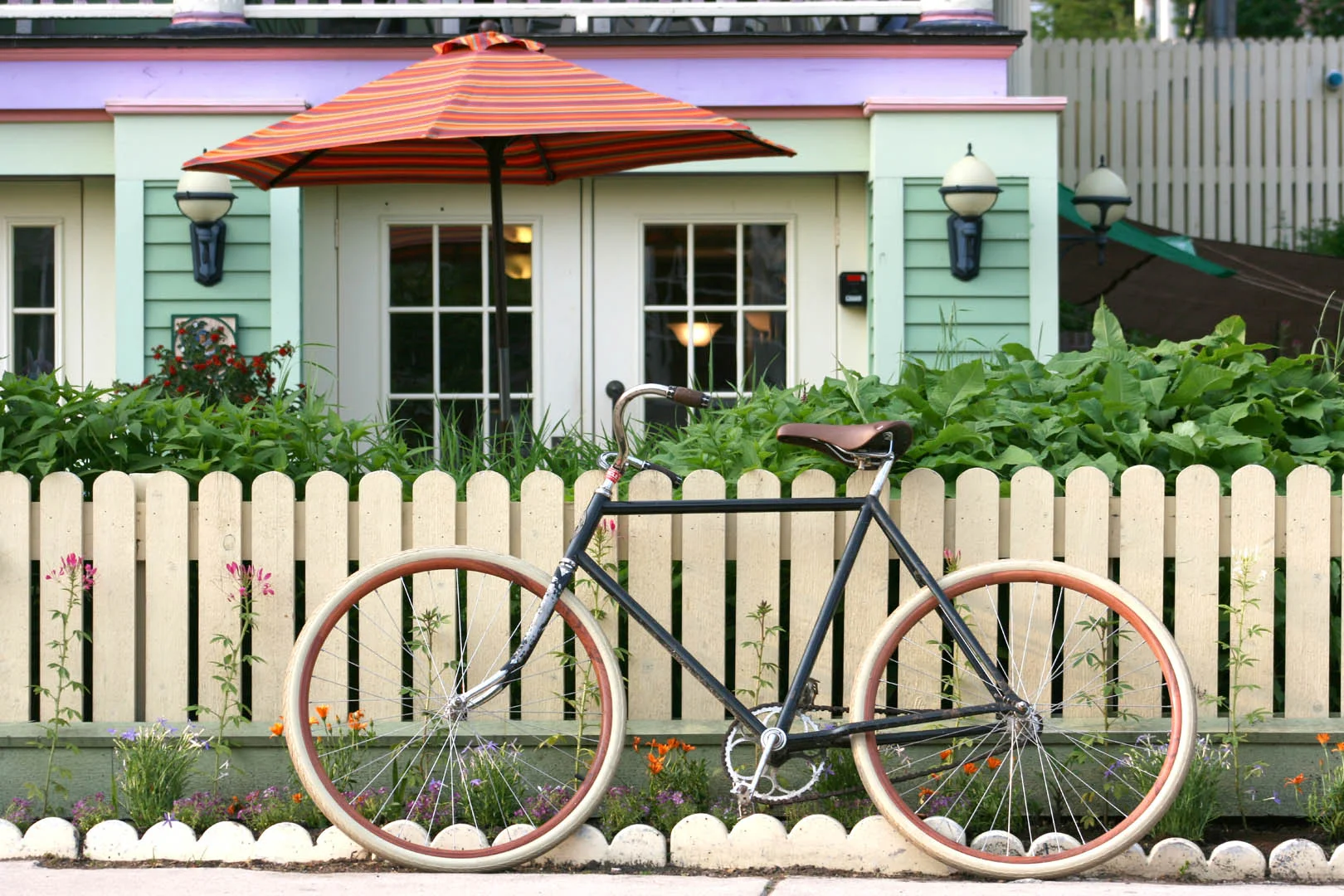 Mackinac Island Bike