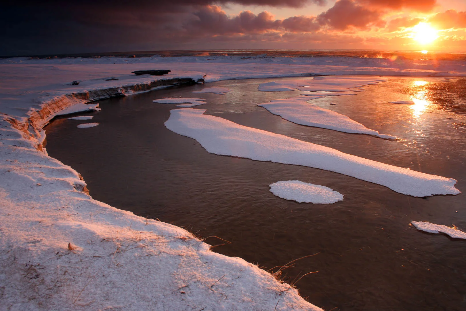 Hoffmaster Winter -- 1