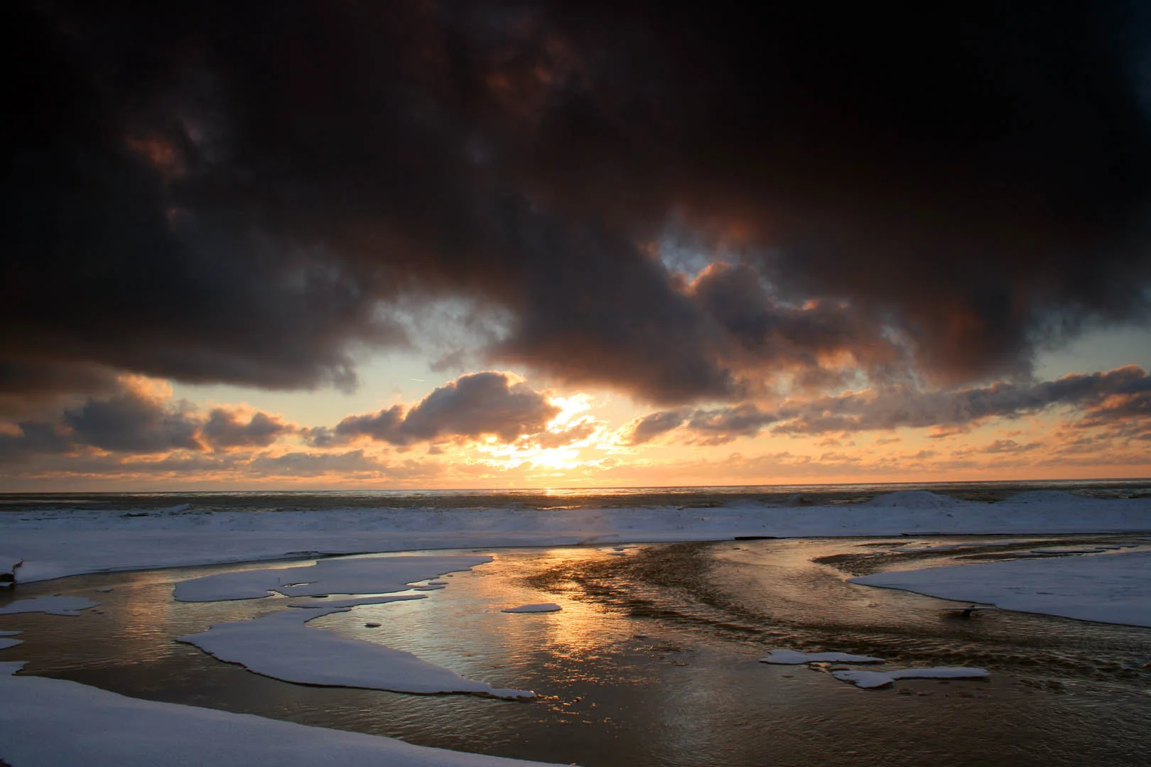 Hoffmaster Winter -- 2