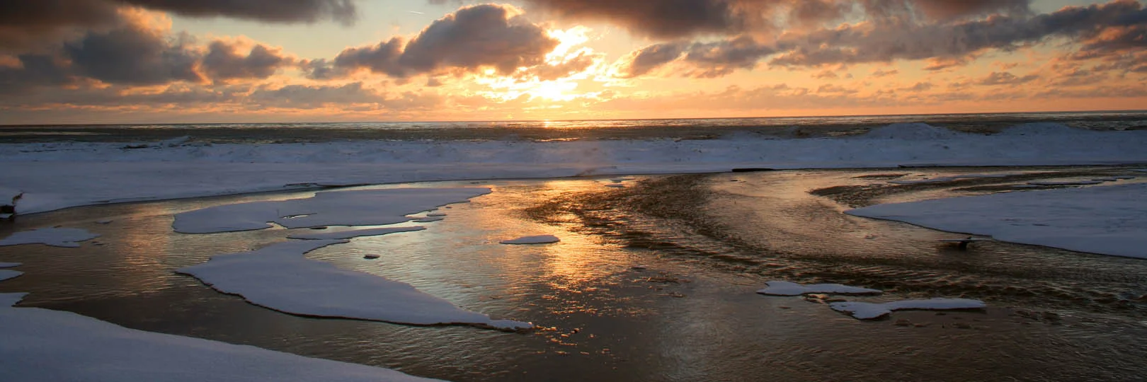 Hoffmaster Winter -- 2 -- wide