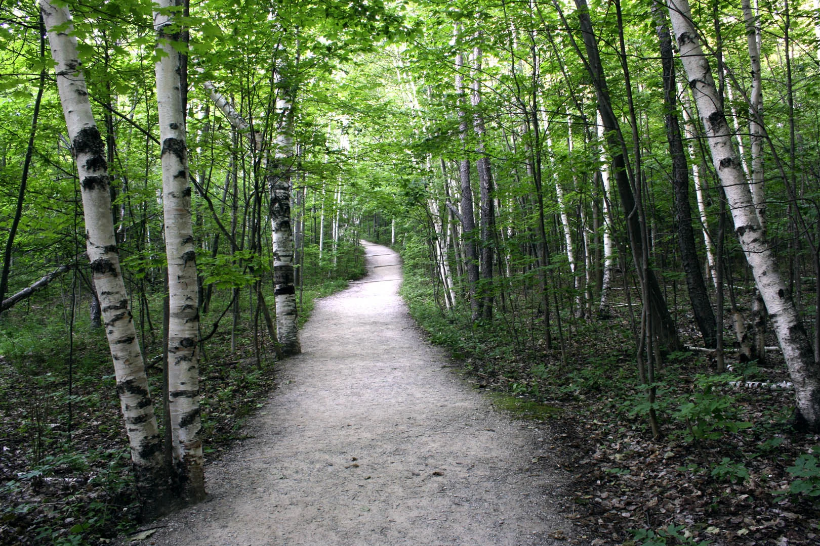 Walk to Lake Michigan