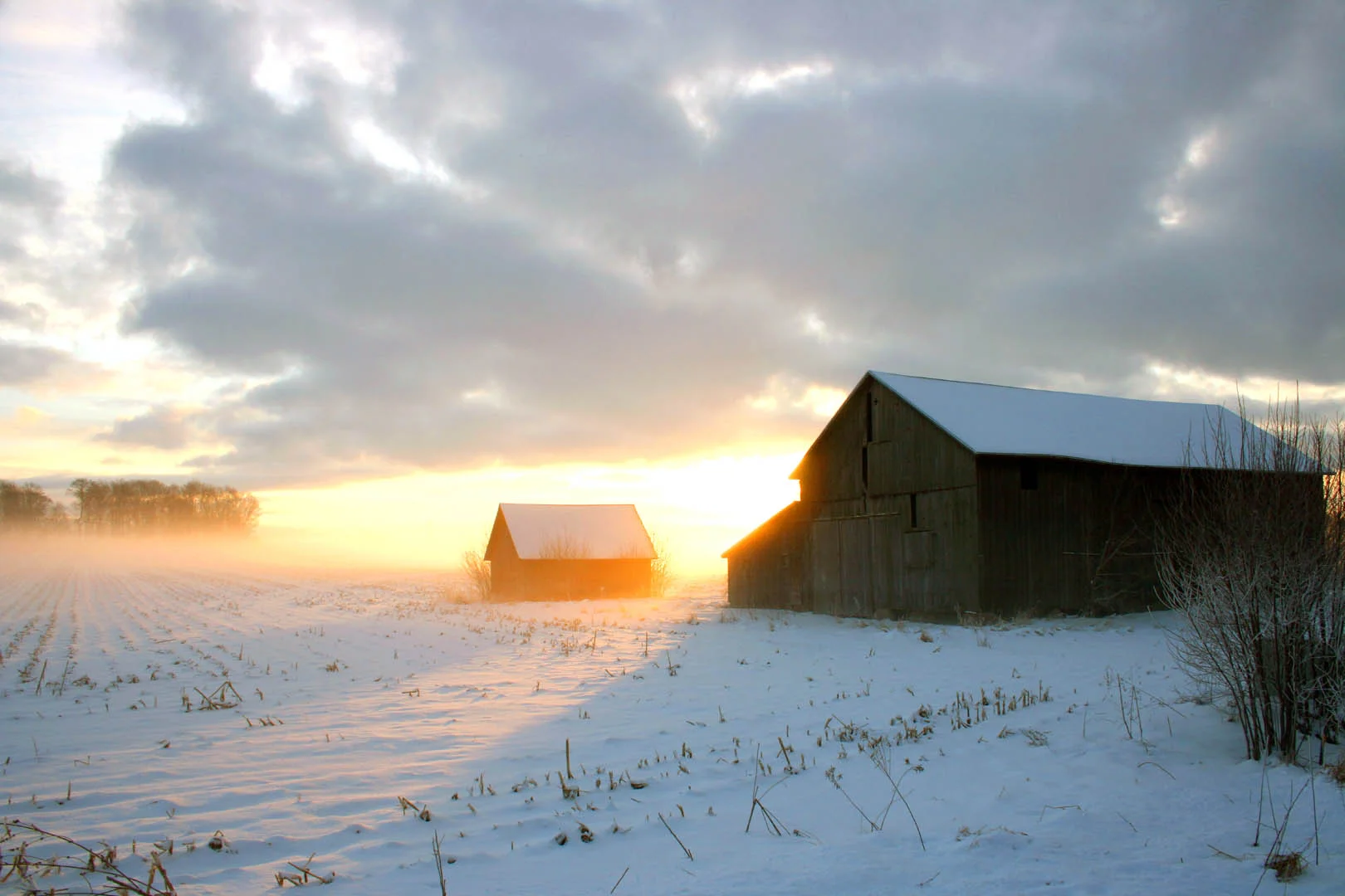 Conklin Barns -- Color