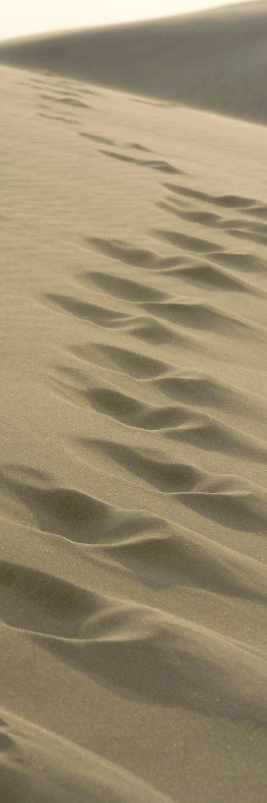 Footprints