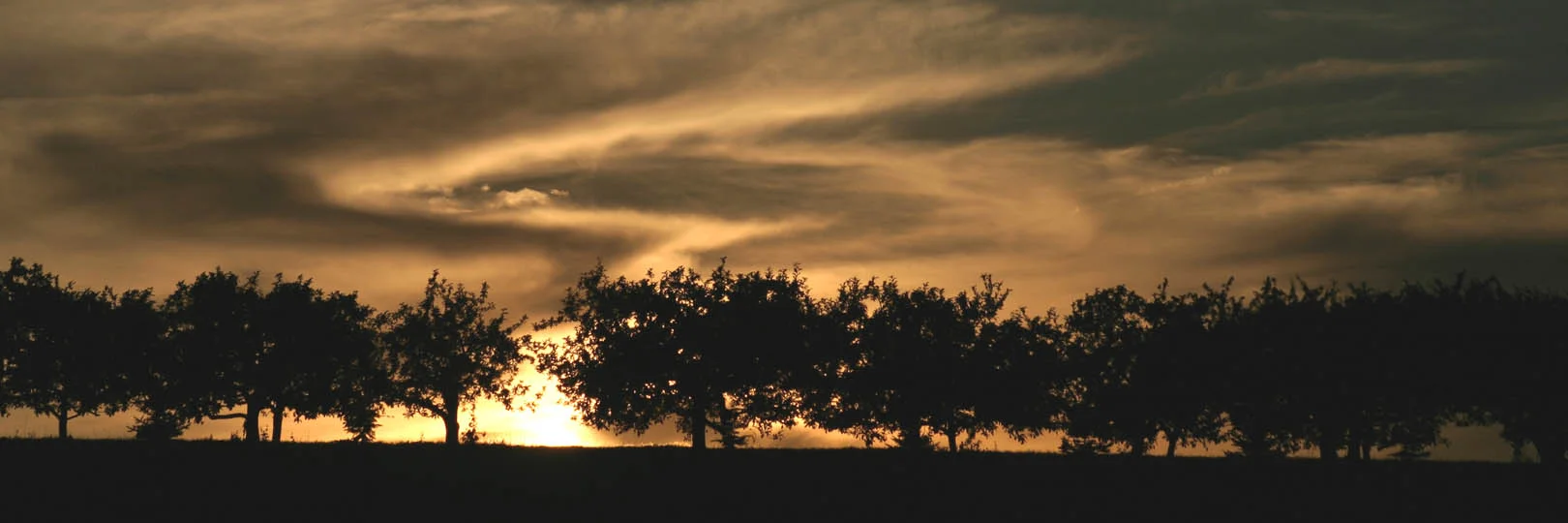 Orchard Edge -- Wide