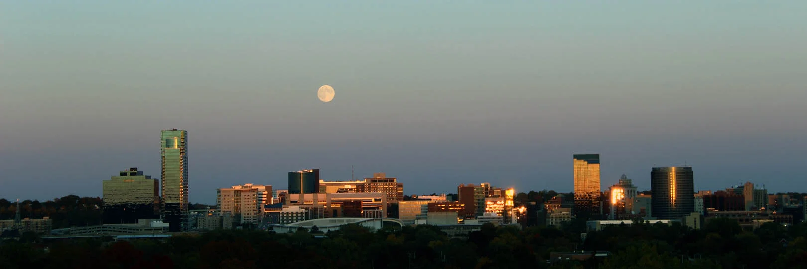Grand Rapids Skyline -- 1