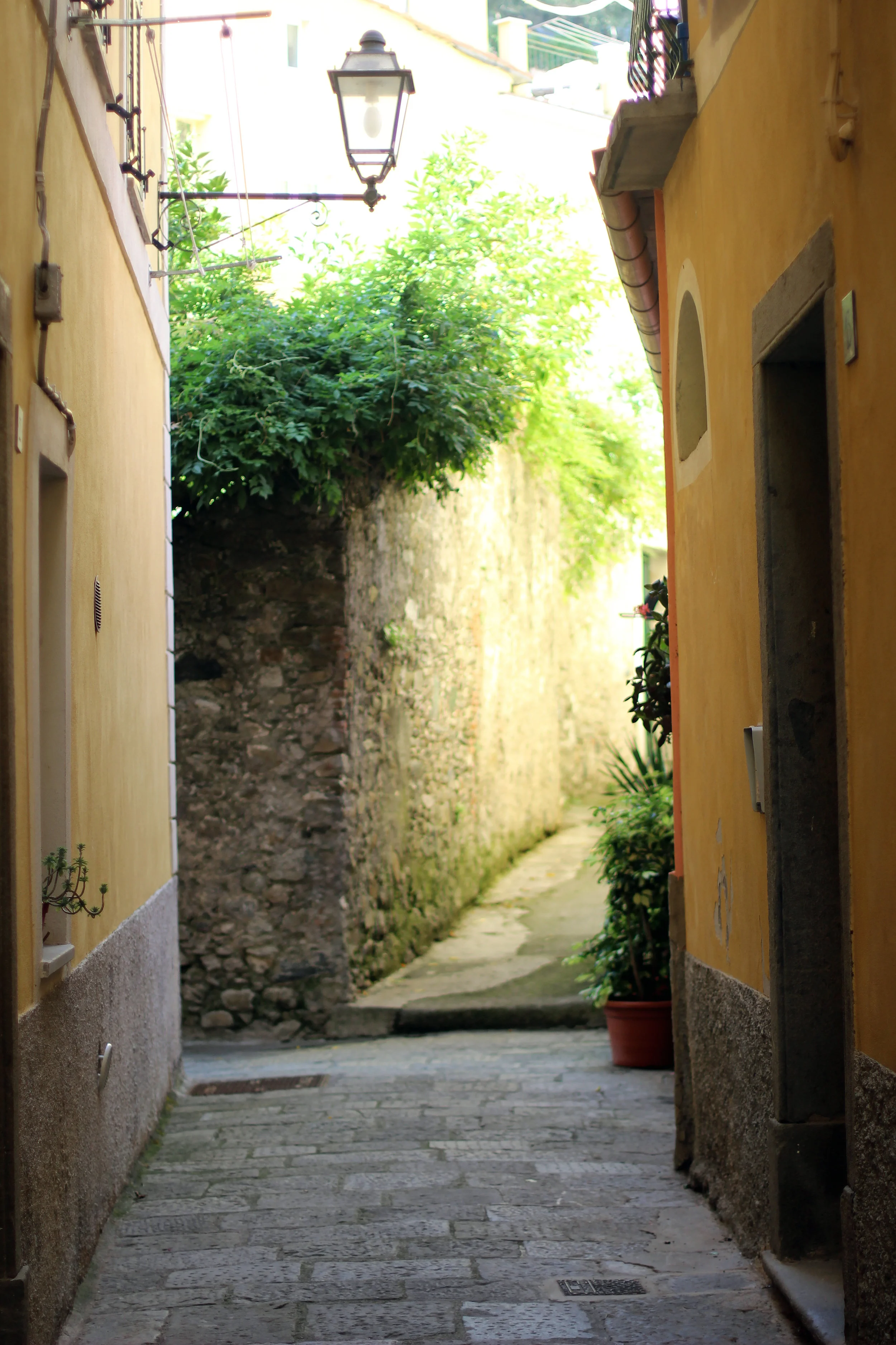 europe0807.jpg