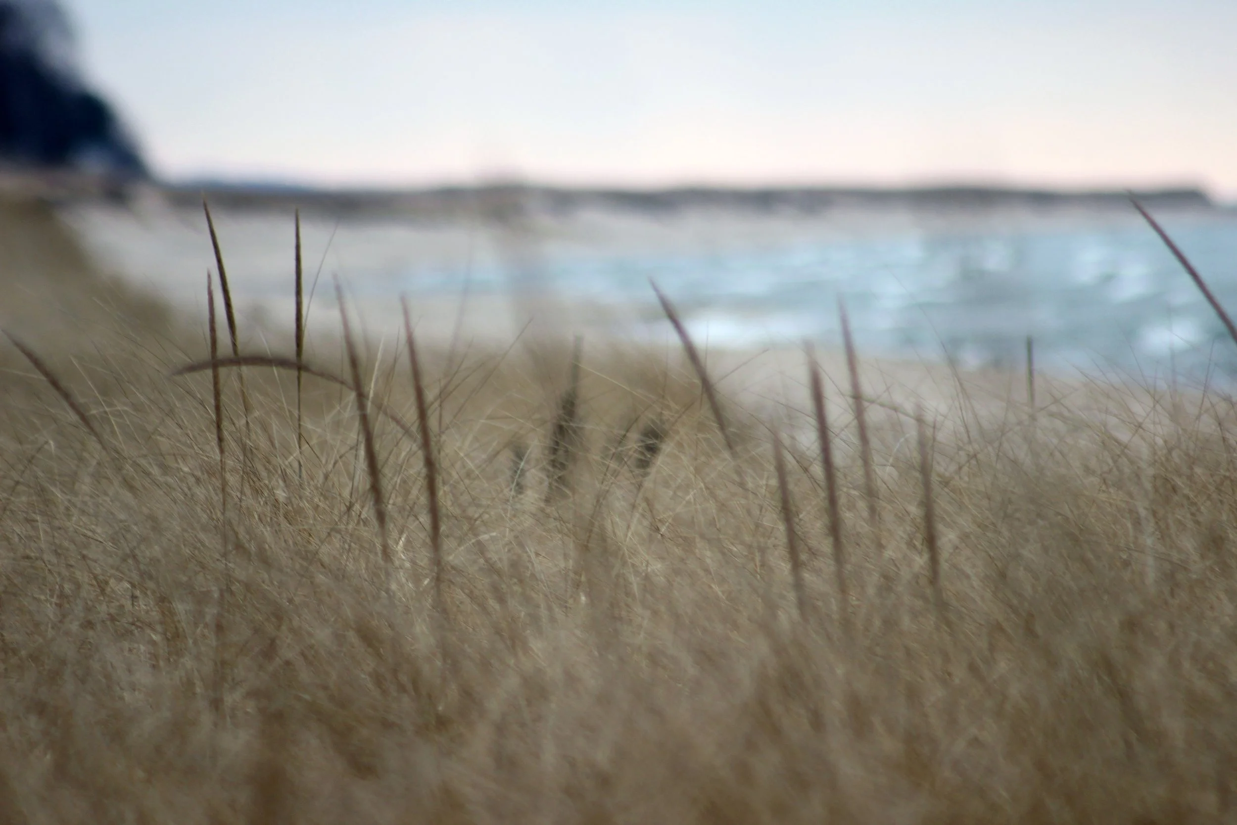 lakemich7309.jpg