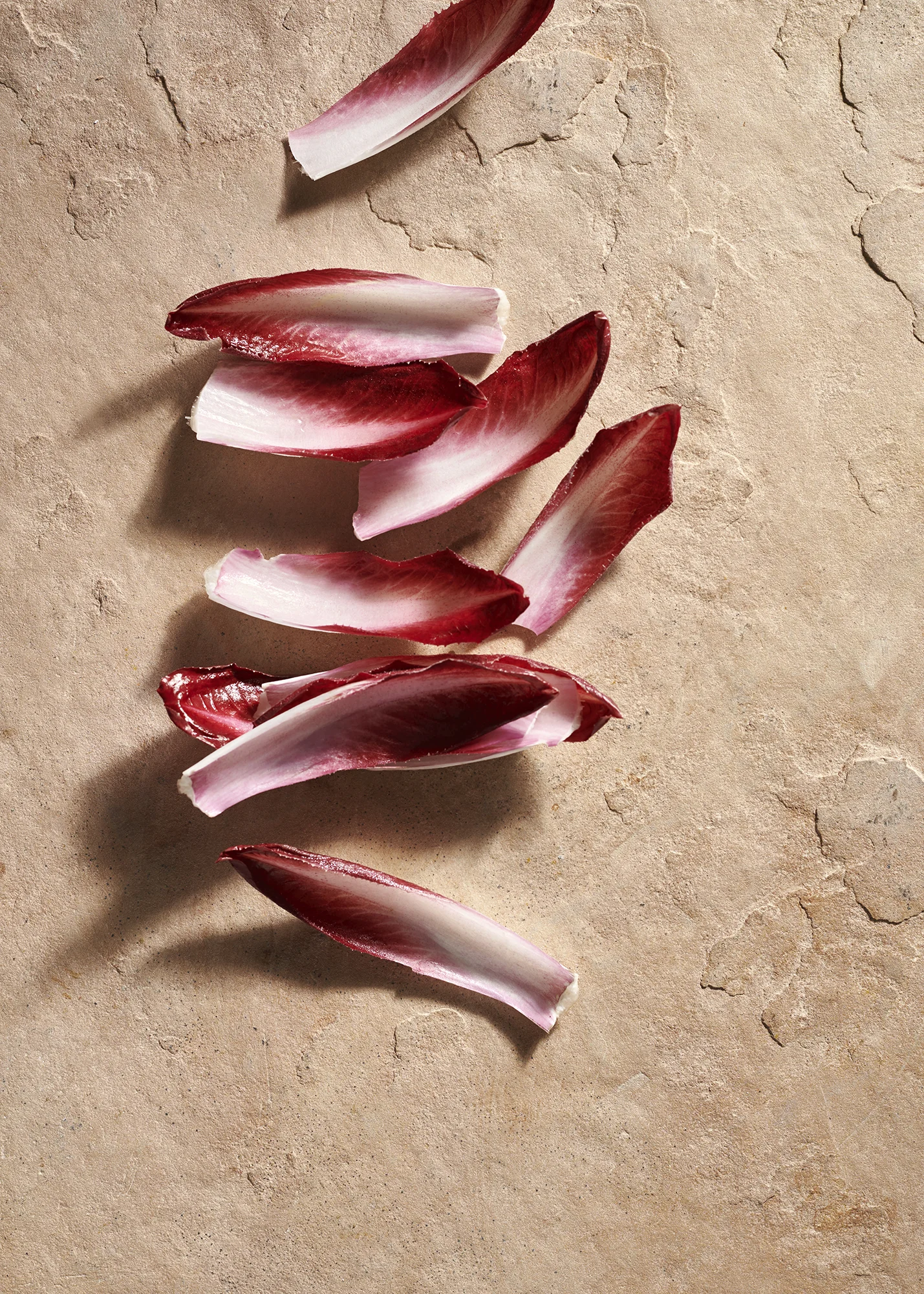 Purple Chicory Leaves Styled by Food Photographer Holly Pickering