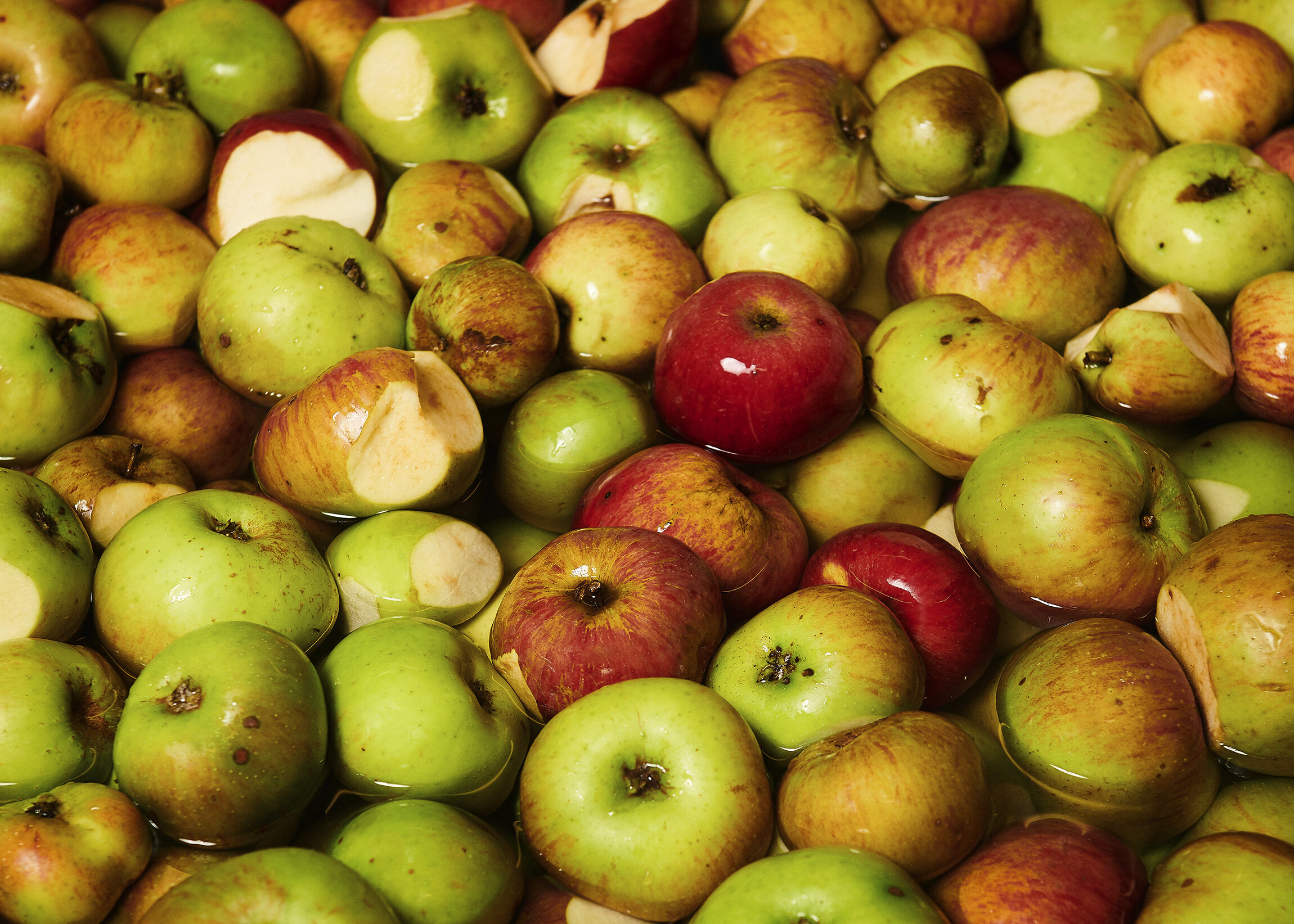 cider apples by London photographer Holly Pickering