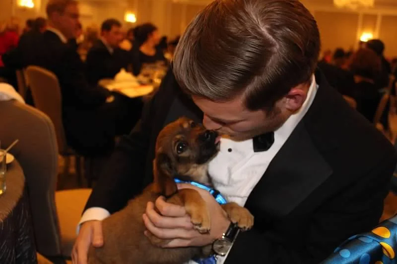 the winner of the precious puppy