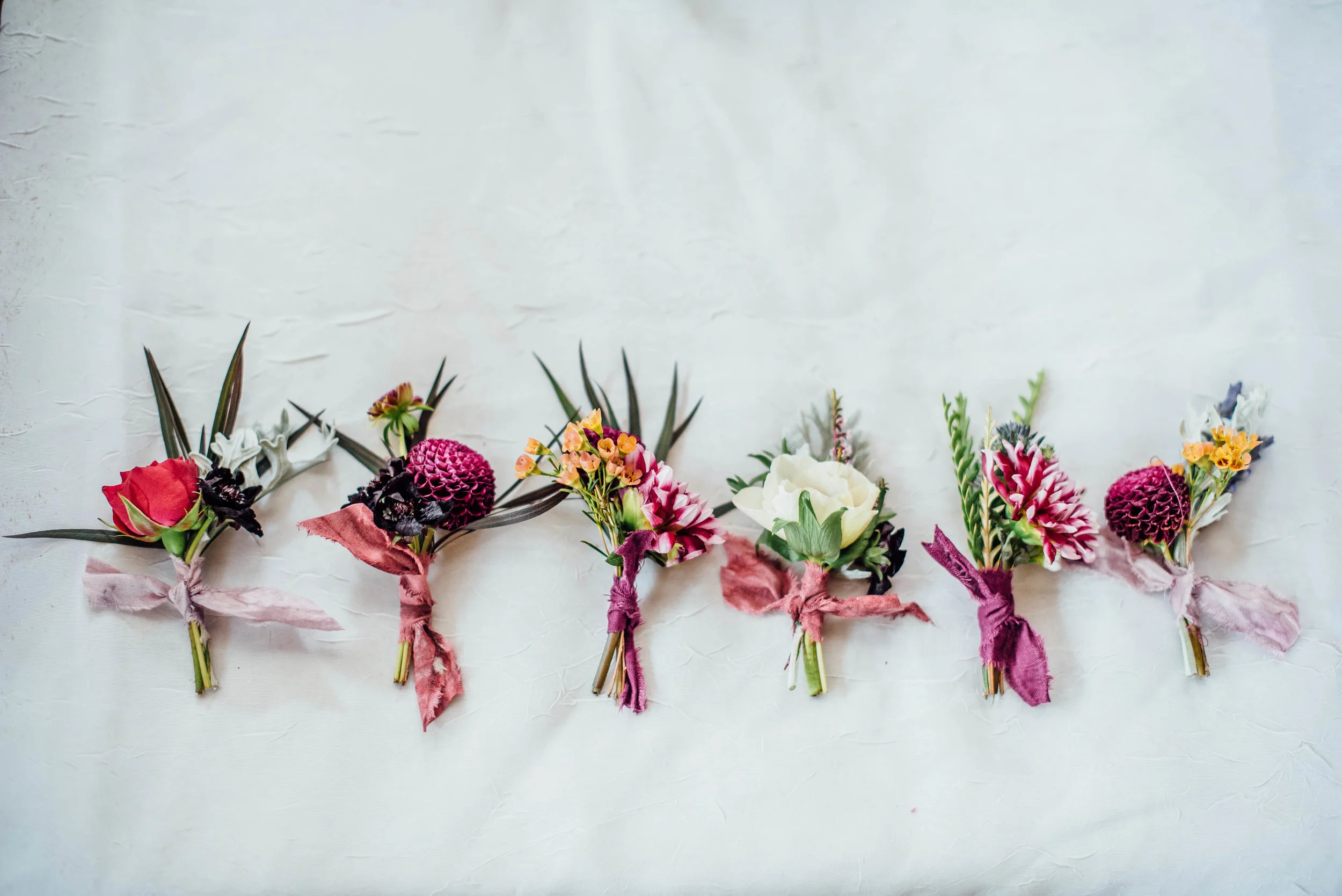 Photo credit: Cindy Lee Photography