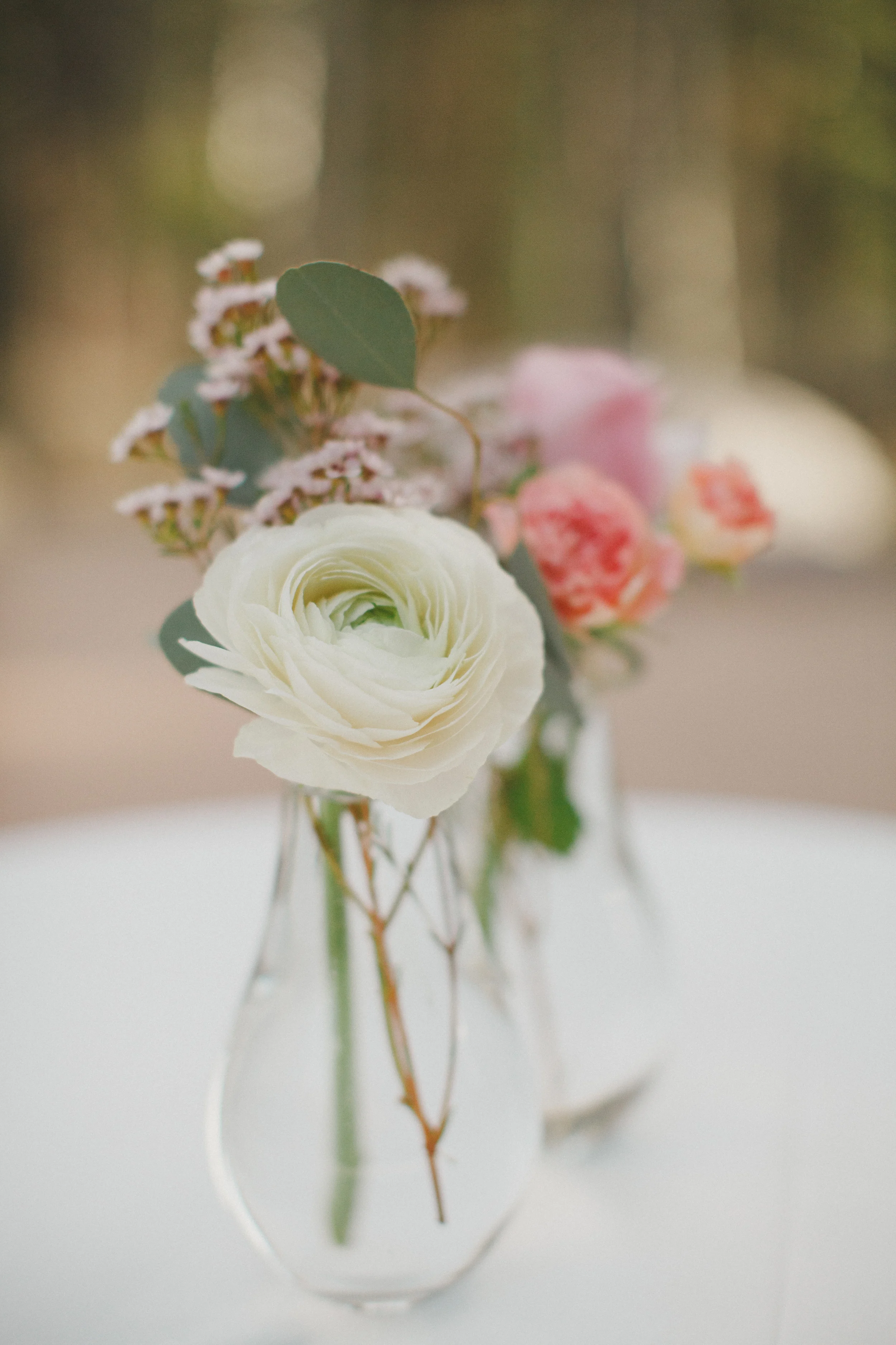 Lace and Lilies Blog