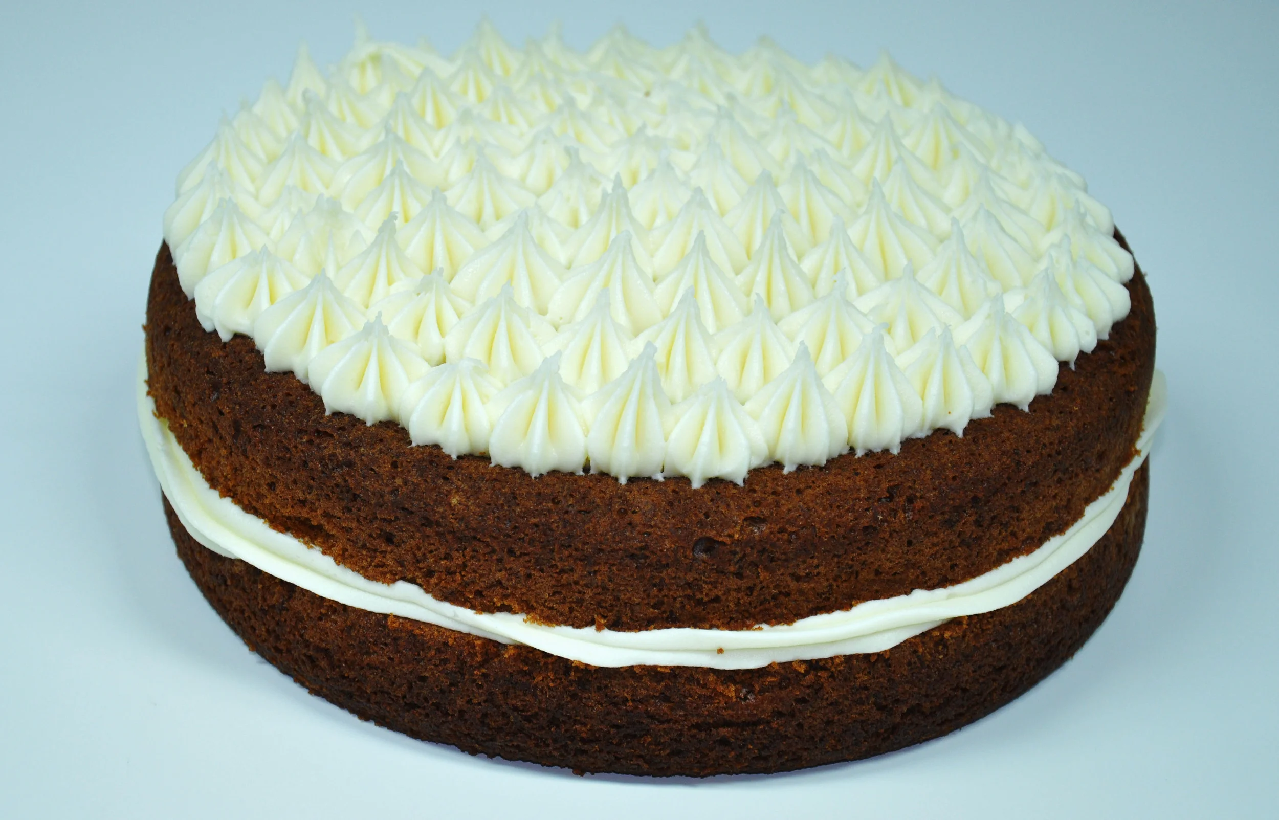 cake2.jpg