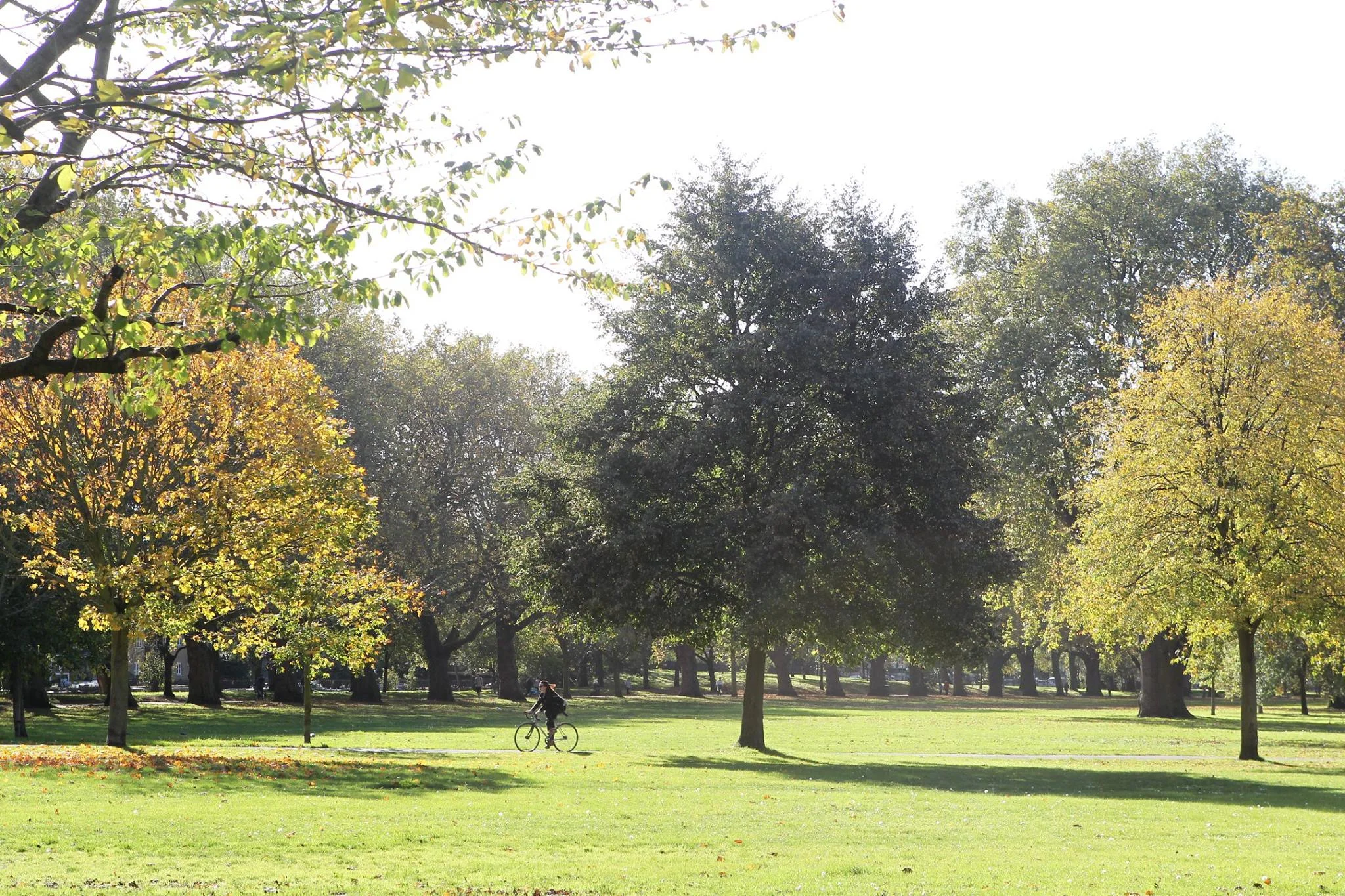 victoriapark.jpg
