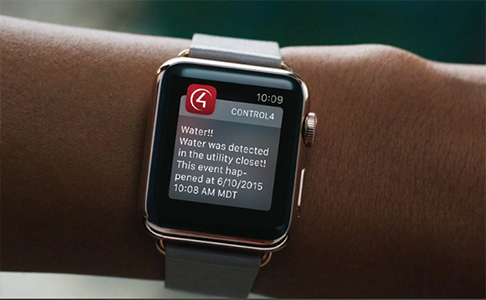 Locks & Alerts