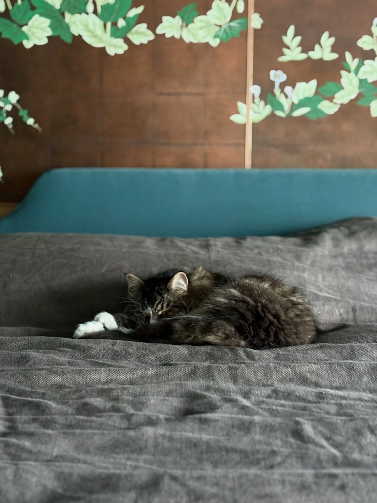 Nap time mid install. We love our clients&rsquo; fur babies 🥰