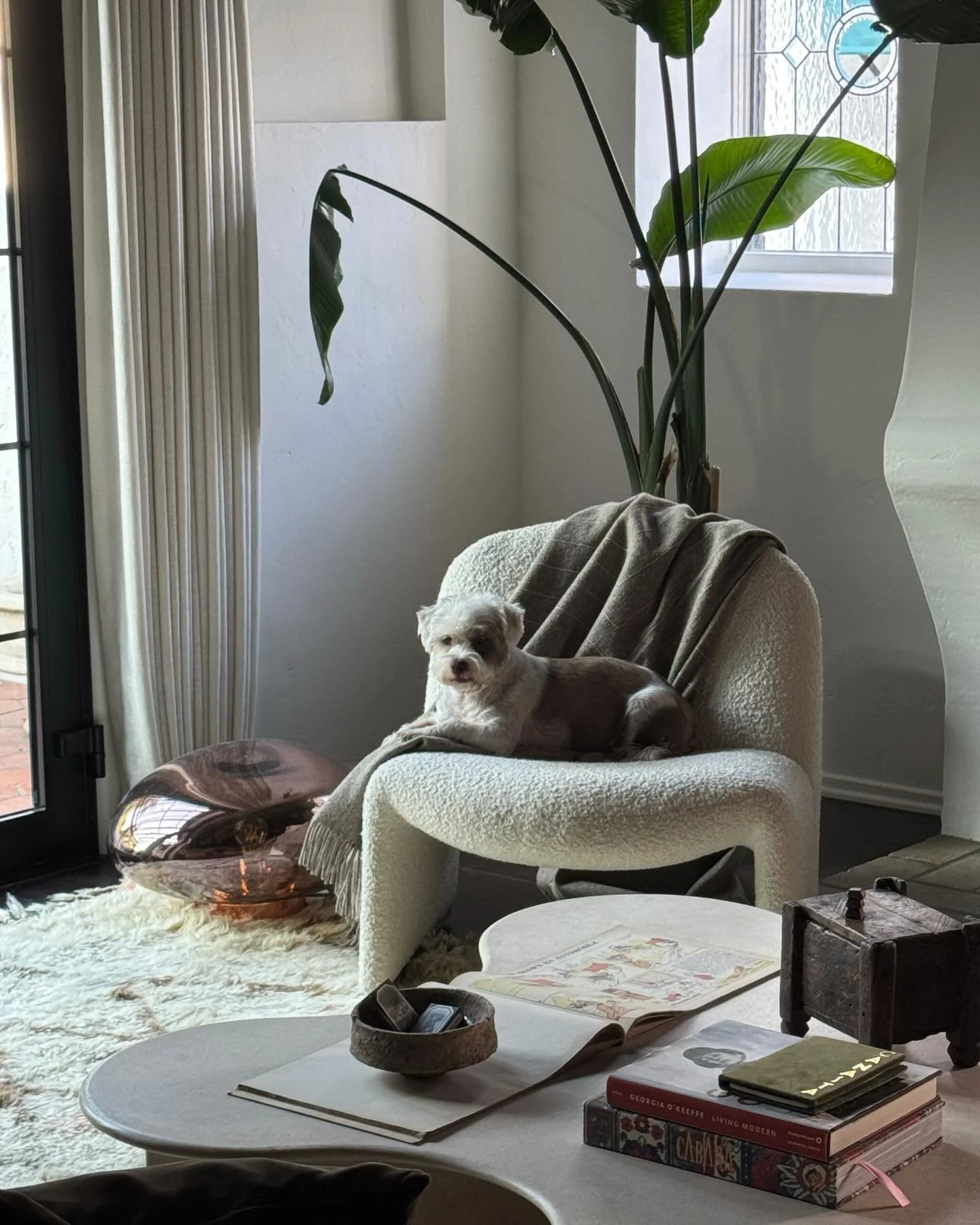 Wishing everyone a happy and cozy week as we move into the new year. 

As an aside: should we do a series on our fur-clients? Here&rsquo;s Simon enjoying his new chair and contemplating his goals for 2026 <3 

Photo credit to our lovely Spanish Mo