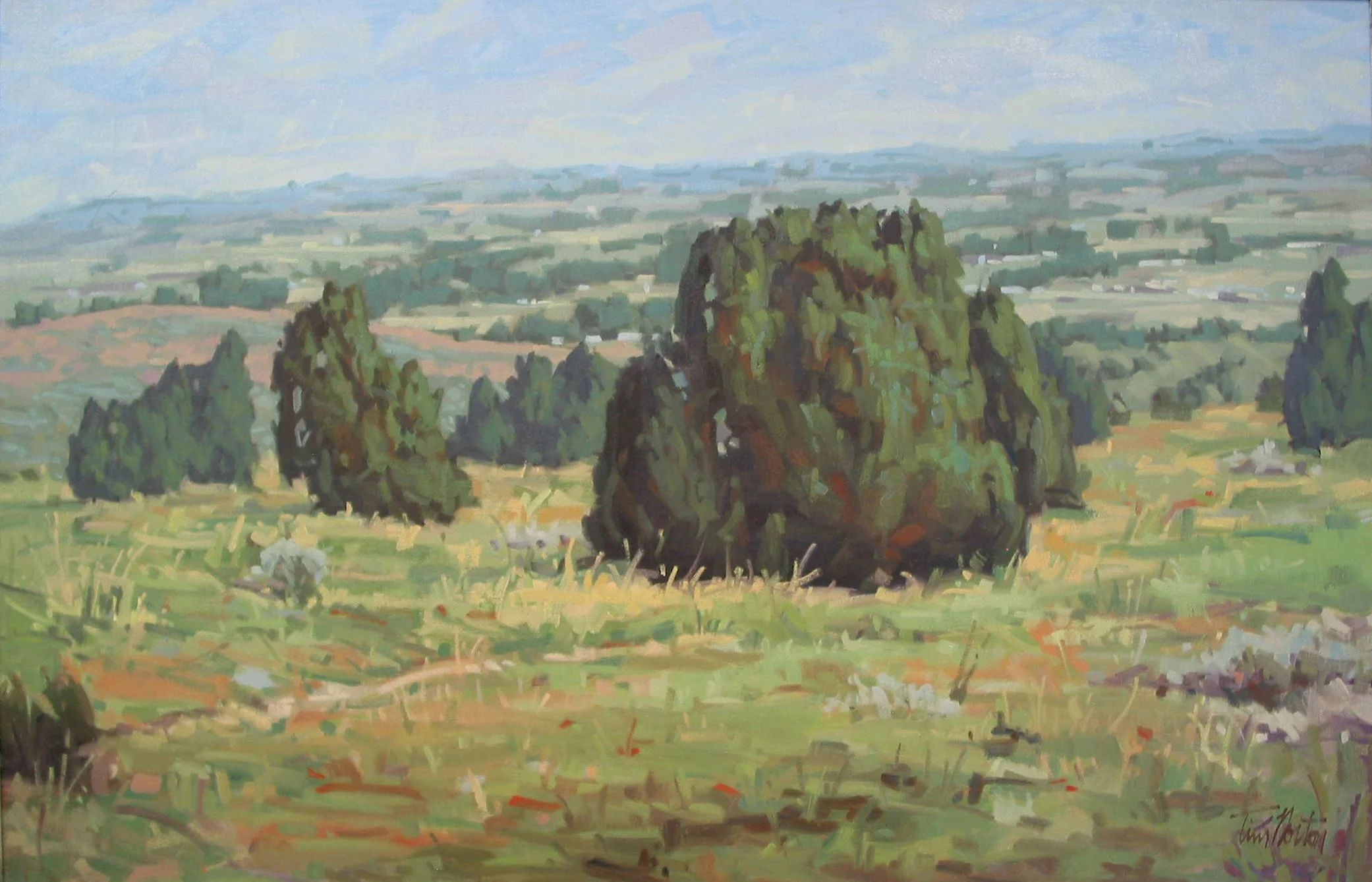 Above the Town.jpg